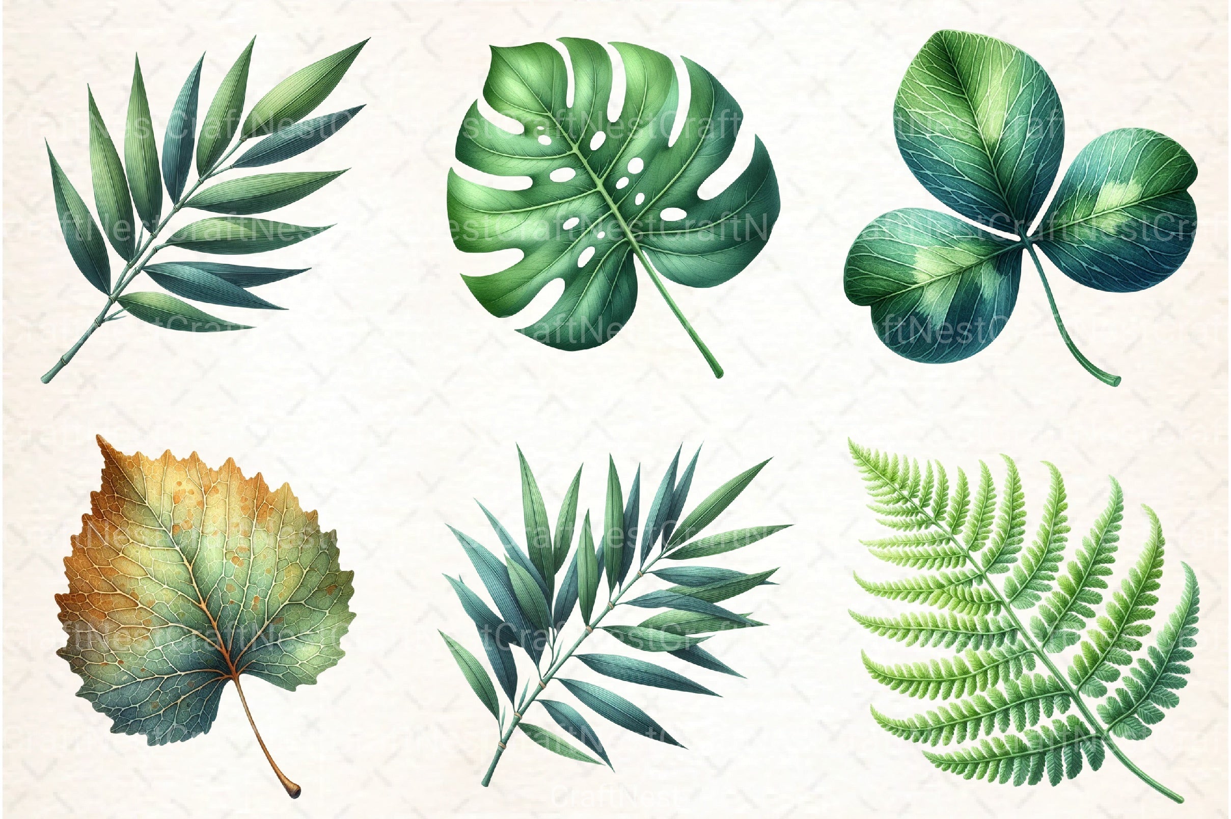 Green Summer Foliage Clipart Bundle 3 - CraftNest - Digital Crafting and Art