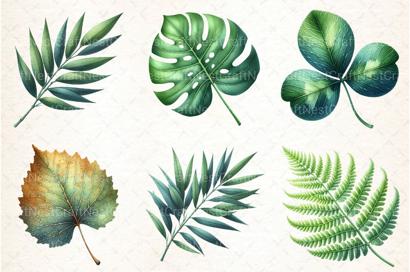 Green Summer Foliage Clipart Bundle 3 - CraftNest - Digital Crafting and Art