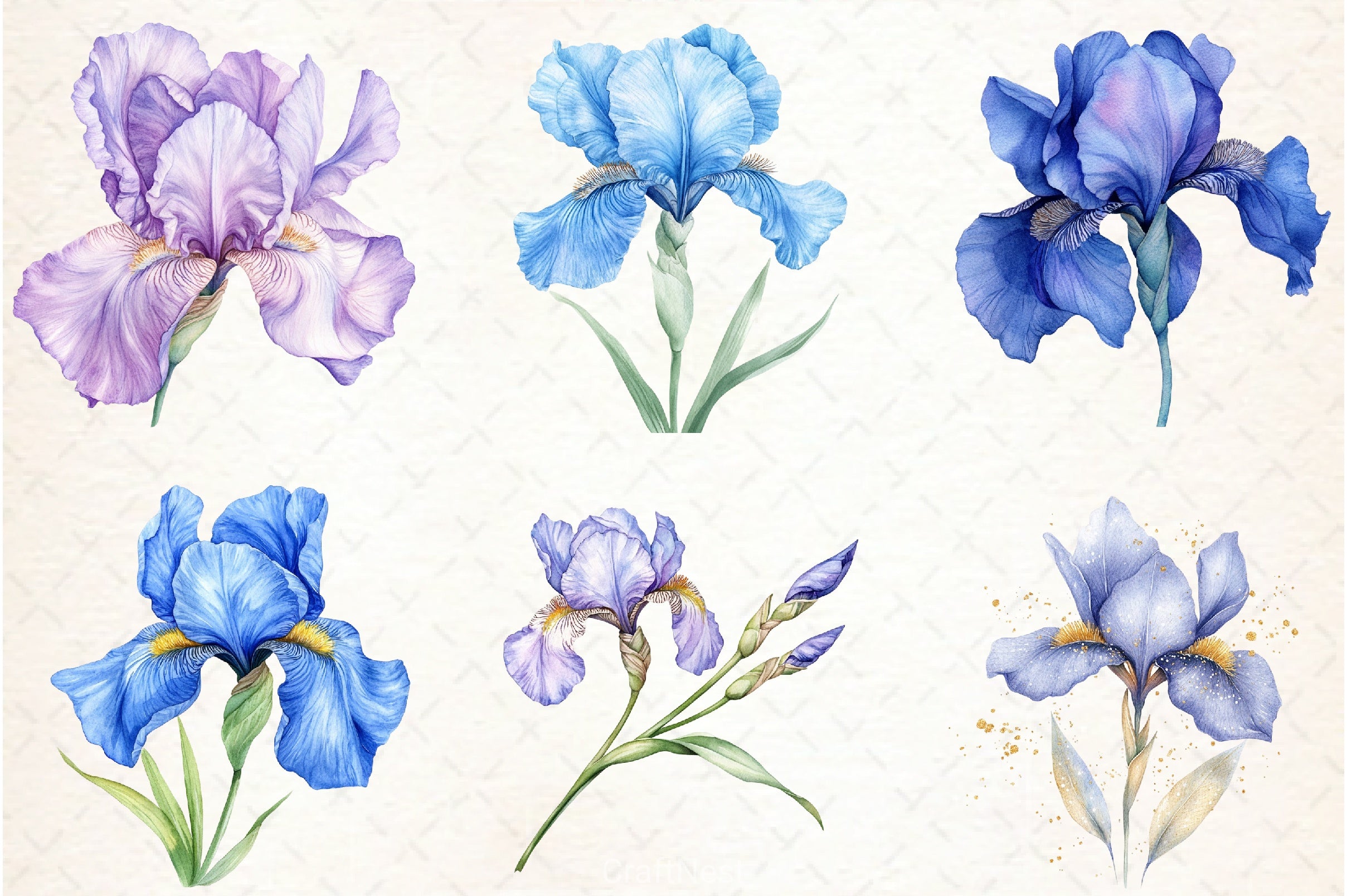 Iris Flower Clipart Bundle - CraftNest - Digital Crafting and Art