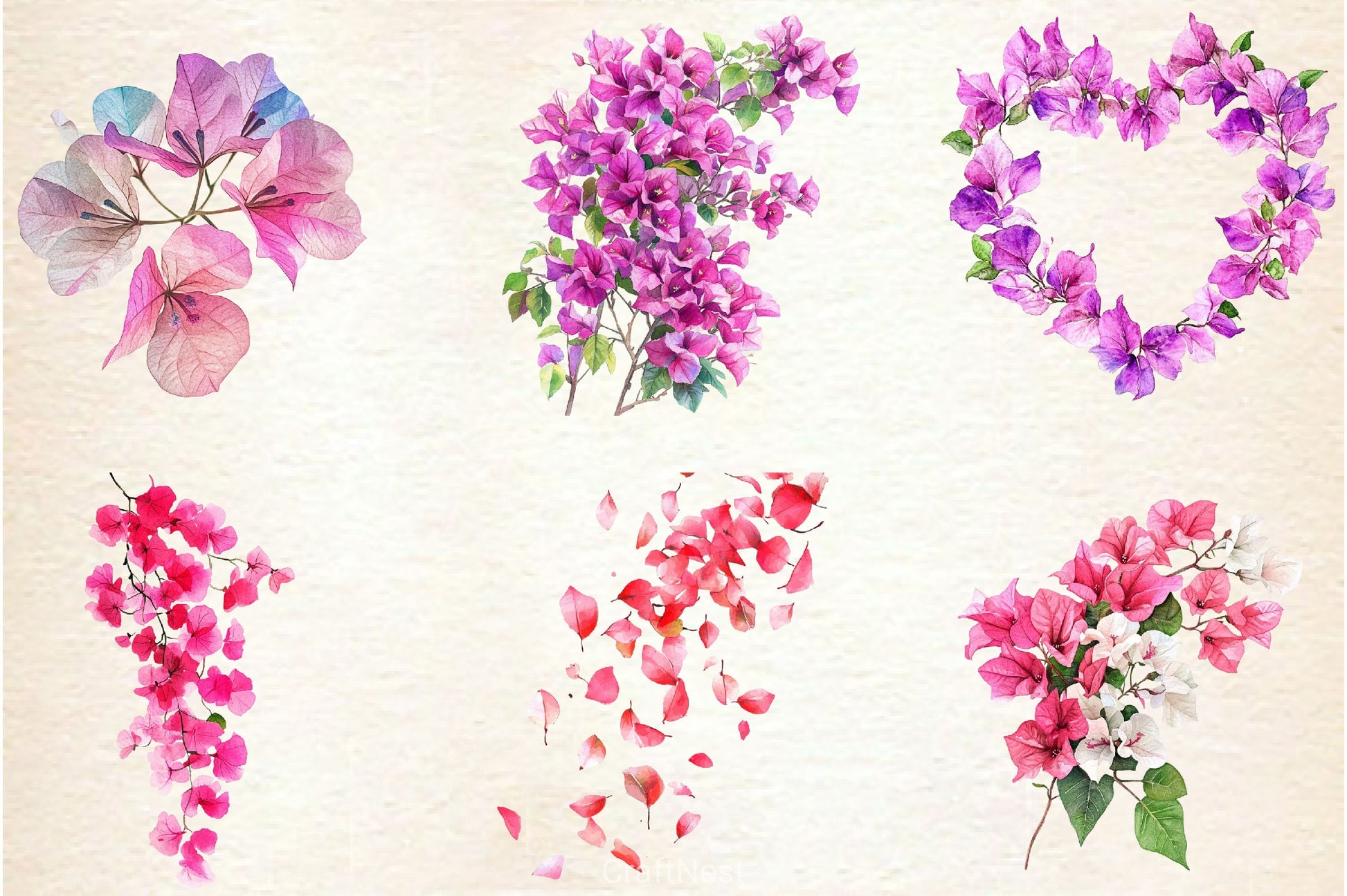 Bougainvillea Flower Clipart Bundle 3 - CraftNest - Digital Crafting and Art