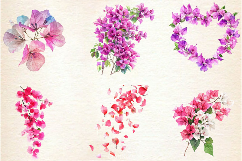 Bougainvillea Flower Clipart Bundle 3 - CraftNest - Digital Crafting and Art