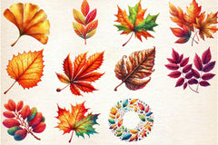 Fall Leaves Clipart Bundle - CraftNest - Digital Crafting and Art