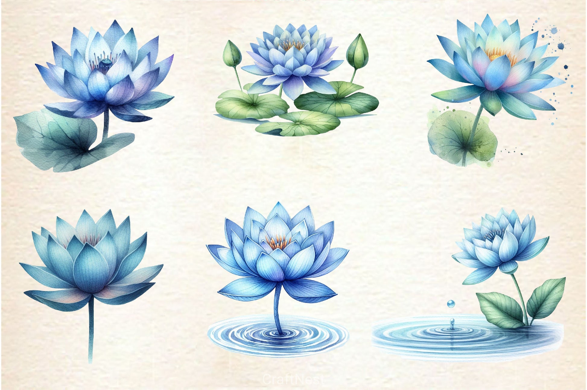 Blue Lotus Clipart Bundle - CraftNest - Digital Crafting and Art