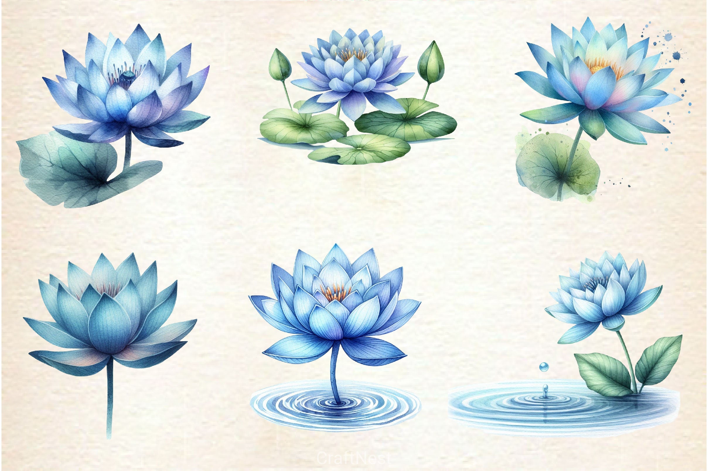 Blue Lotus Clipart Bundle - CraftNest - Digital Crafting and Art