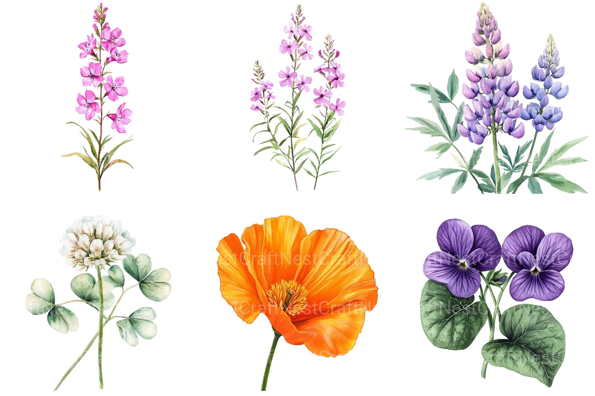 Well Defined Wildflower Clipart - CraftNest - Digital Crafting and Art