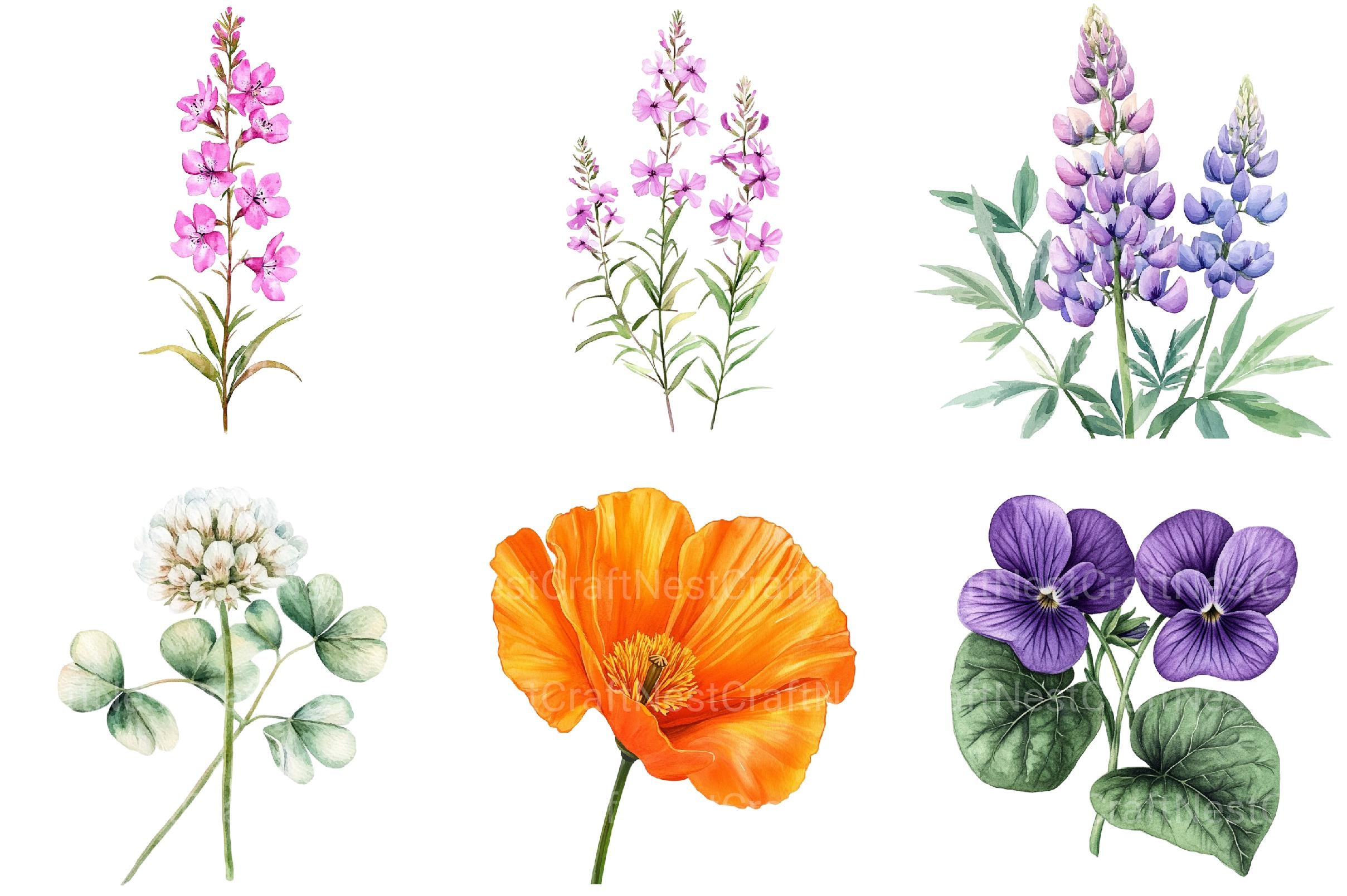 Well Defined Wildflower Clipart - CraftNest - Digital Crafting and Art