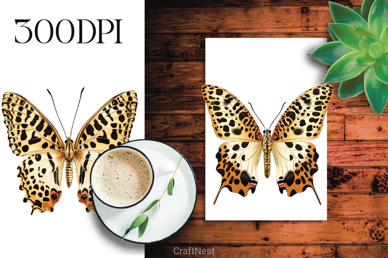 Leopard Butterfly Clipart Bundle - CraftNest - Digital Crafting and Art