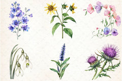 Wild Flower Clipart Bundle - CraftNest - Digital Crafting and Art