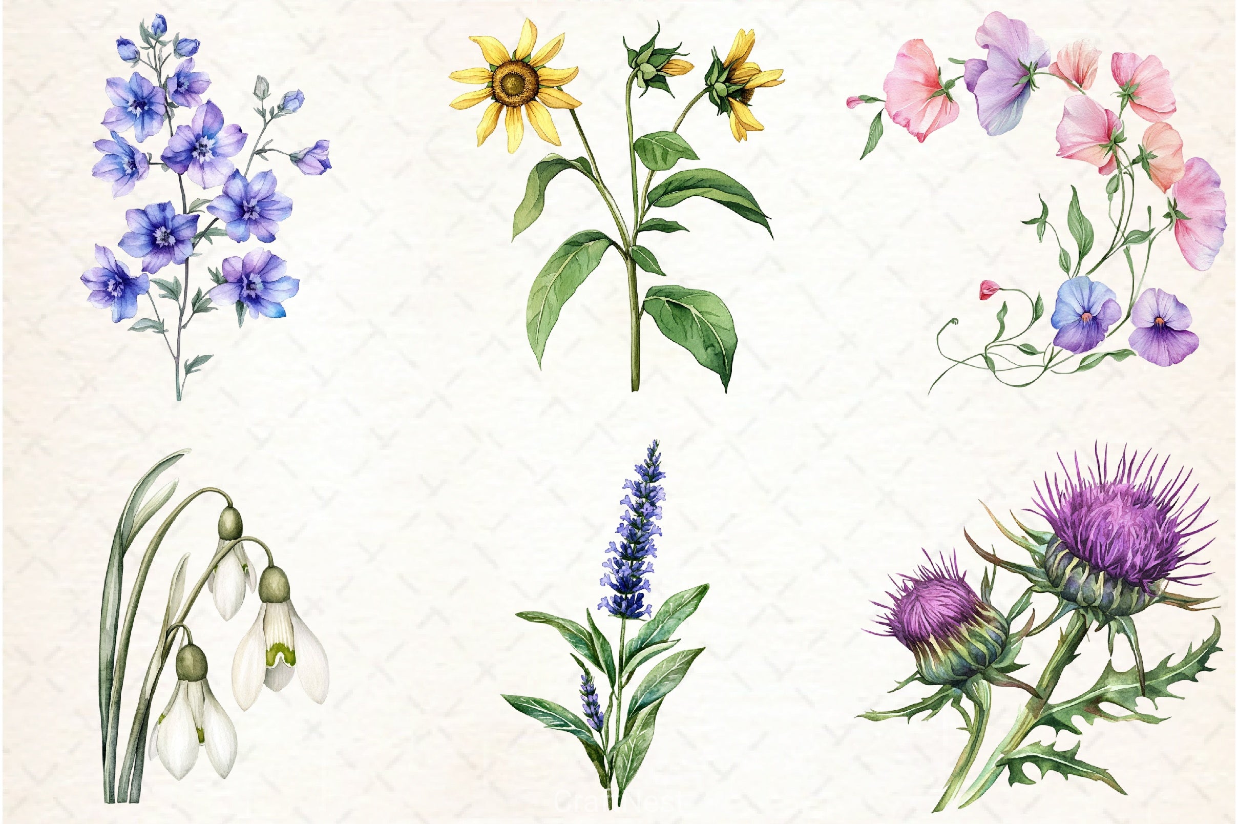 Wild Flower Clipart Bundle - CraftNest - Digital Crafting and Art
