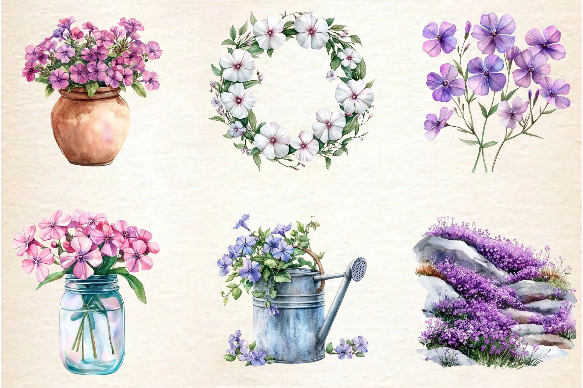 Spring Creeping Phlox Flower Clipart Bundle - CraftNest - Digital Crafting and Art