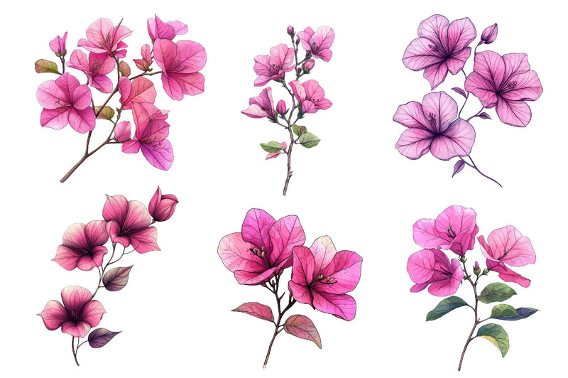 Bougainvillea Flower Clipart Bundle 2 - CraftNest - Digital Crafting and Art