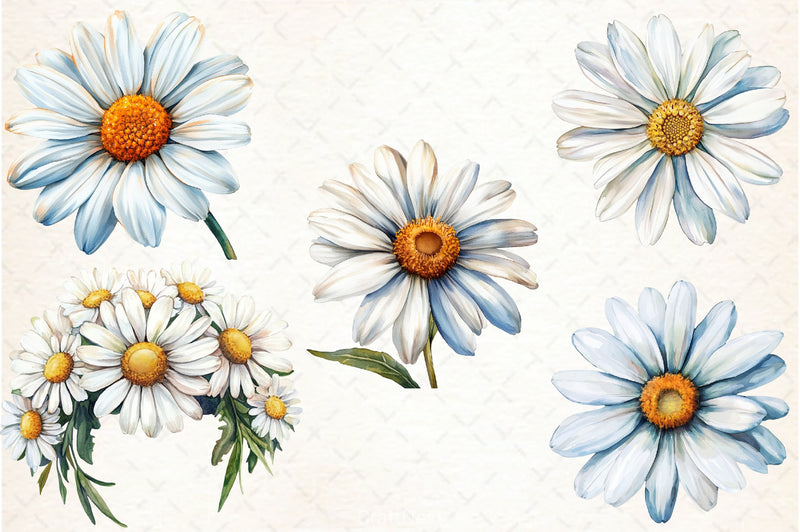 Daisy Clipart Bundle 1 - CraftNest - Digital Crafting and Art