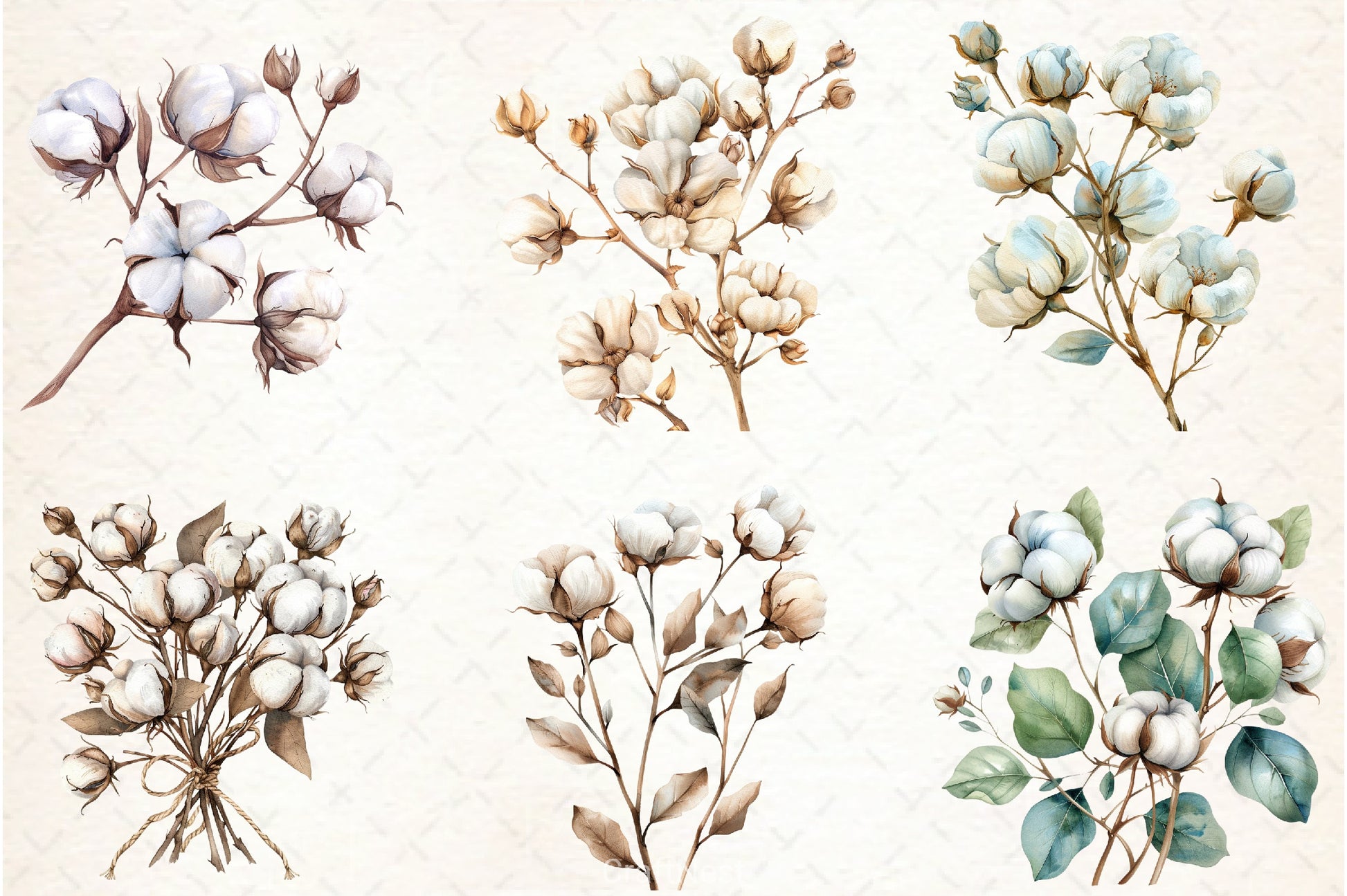 Cotton Branches Clipart Bundle - CraftNest - Digital Crafting and Art