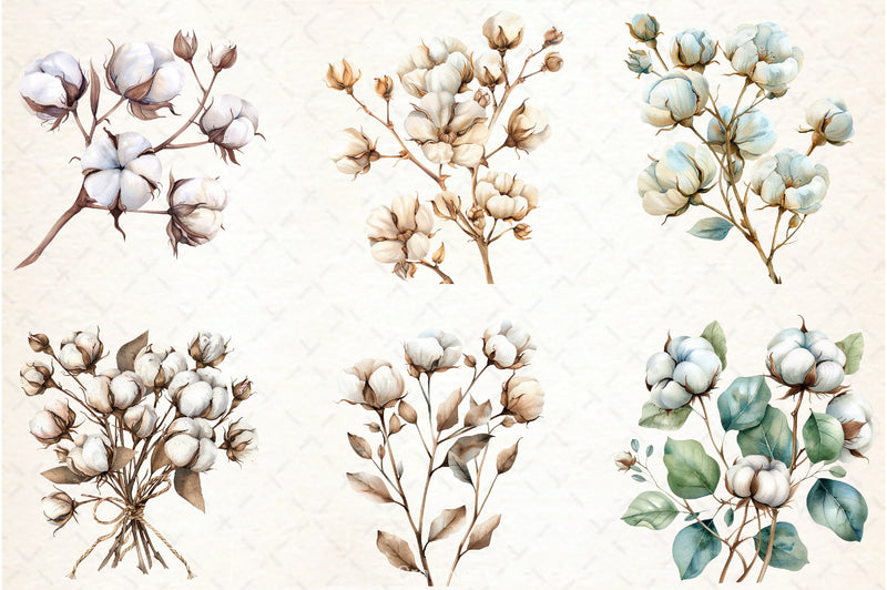 Cotton Branches Clipart Bundle - CraftNest - Digital Crafting and Art