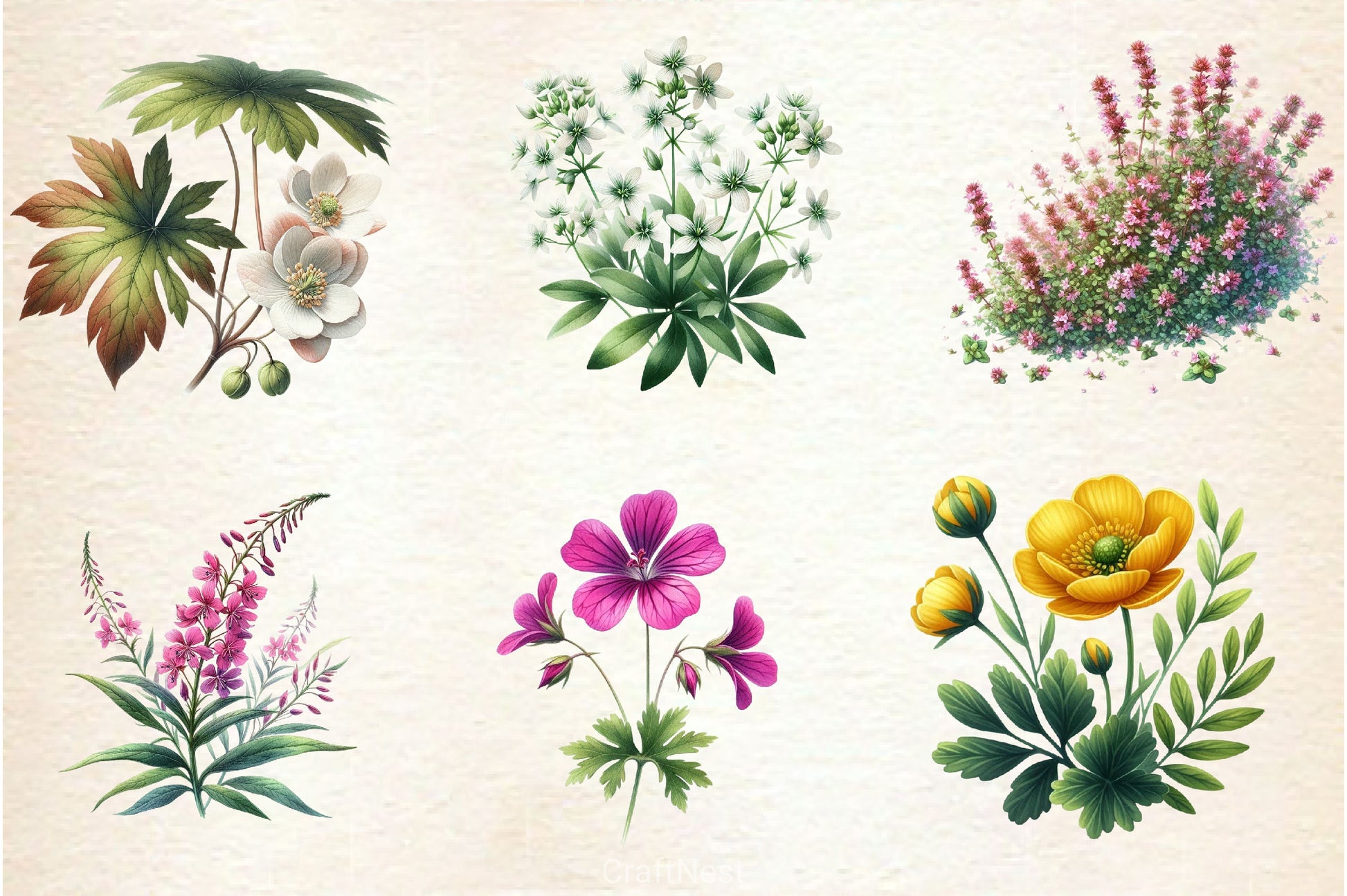 Botanical Forest Wildflower Clipart Bundle - CraftNest - Digital Crafting and Art