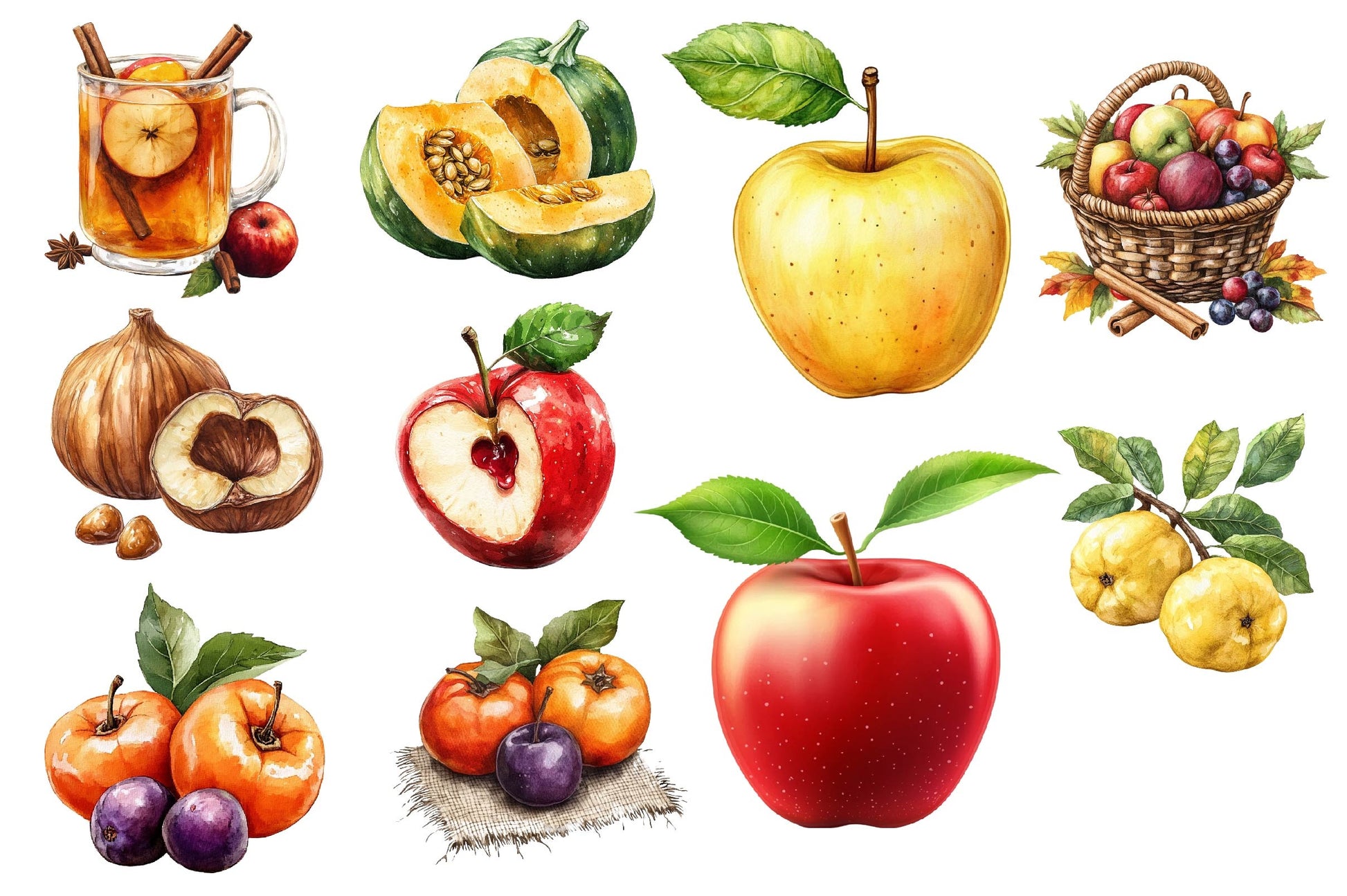Autumn Fruits Clipart Bundle 5 - CraftNest - Digital Crafting and Art