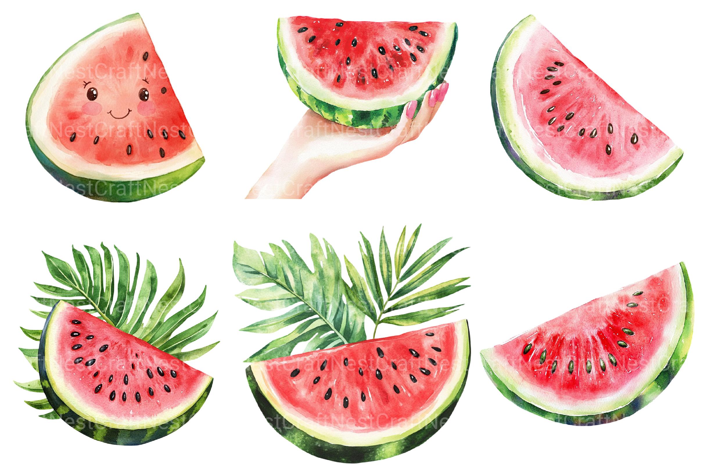 Summer Juicy Watermelon Clipart - CraftNest - Digital Crafting and Art
