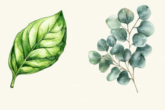 Greenery Clipart Bundle - CraftNest - Digital Crafting and Art