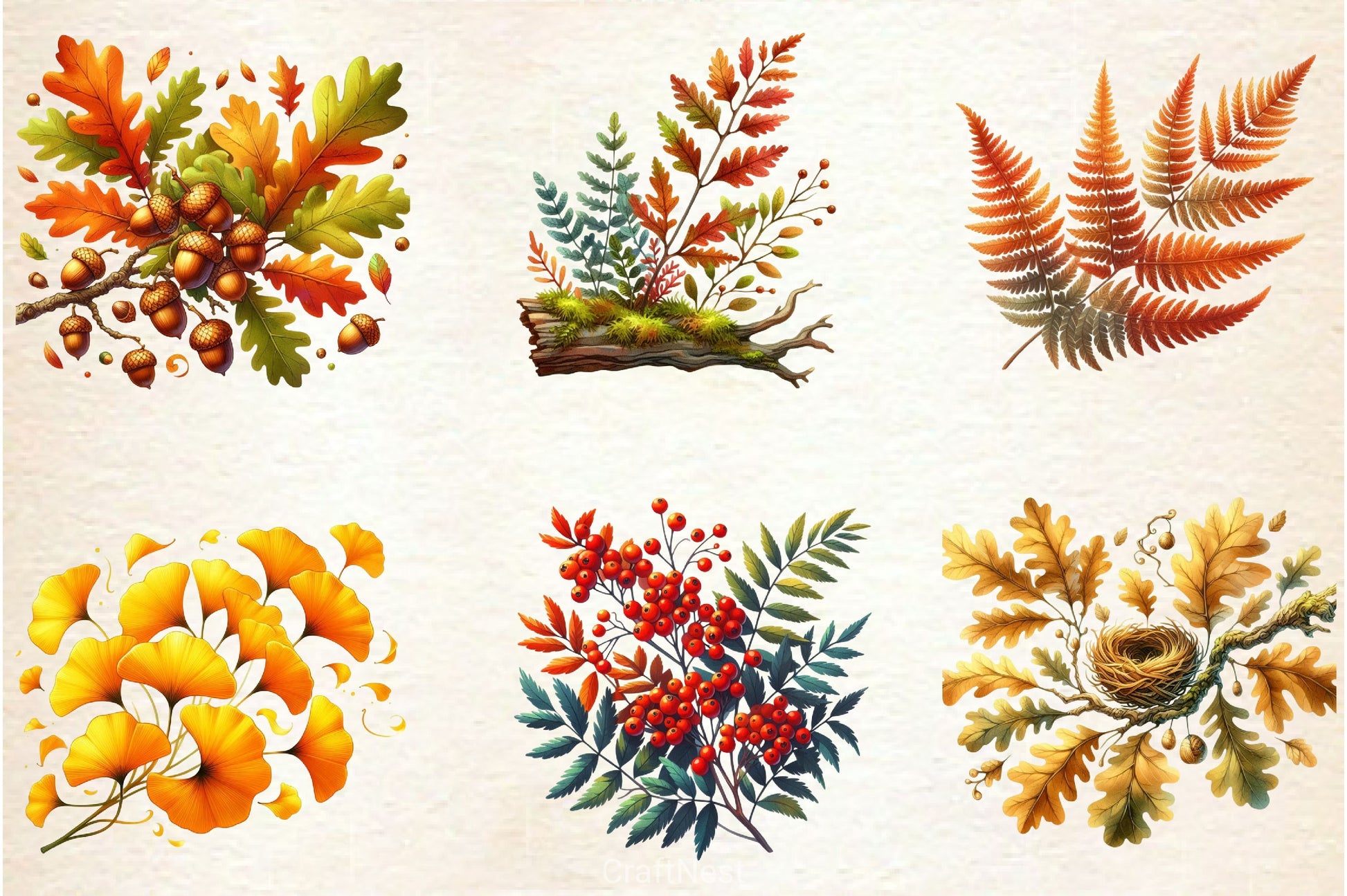 Autumn Nature Clipart Bundle - CraftNest - Digital Crafting and Art