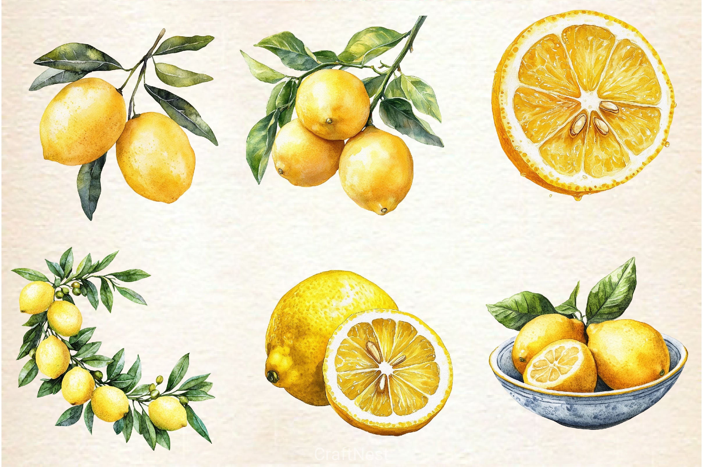 Mediterranean Lemon Botanical Clipart Bundle 4 - CraftNest - Digital Crafting and Art