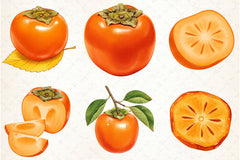 Persimmon Fruit Clipart Bundle 5 - CraftNest - Digital Crafting and Art