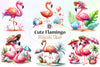 Flamingo Clipart Bundle 3