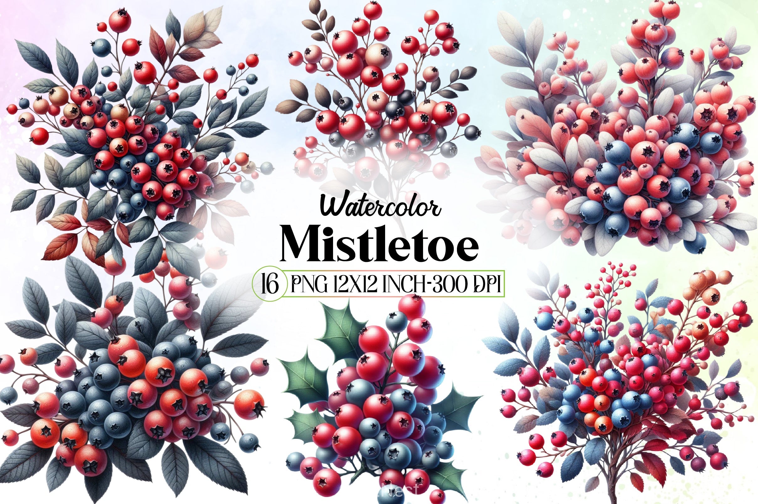 Mistletoe Clipart Bundle 1 - CraftNest - Digital Crafting and Art