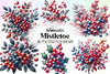 Mistletoe Clipart Bundle 1