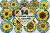 Sunflower Stained Glass Clipart Bundle 1