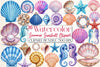 Summer Seashell Clipart Bundle 3