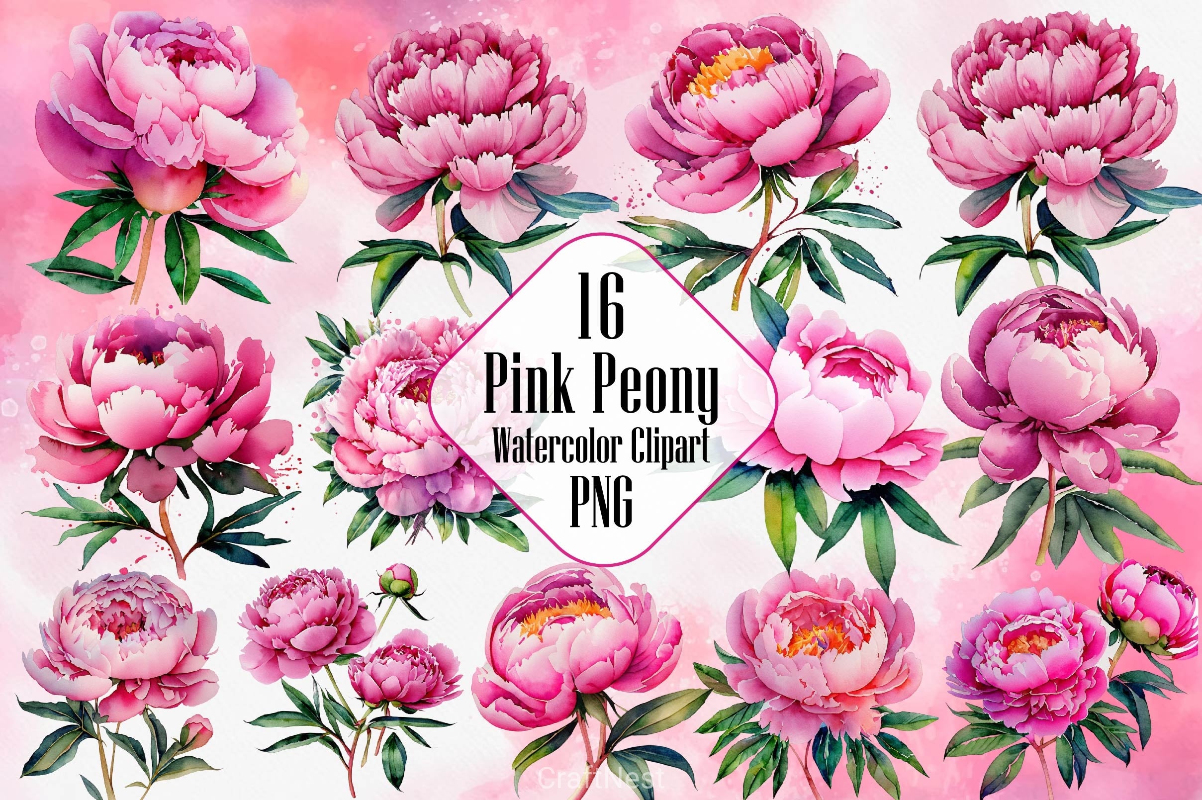 Pink Peony Set Clipart Bundle - CraftNest - Digital Crafting and Art