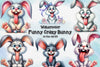 Funny Crazy Easter Bunny Clipart Bundle