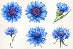 Blue Cornflower Clipart Bundle - CraftNest - Digital Crafting and Art