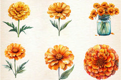 Marigold Clipart Bundle 3 - CraftNest - Digital Crafting and Art