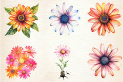 African Daisy Flower Bloom Clipart Bundle - CraftNest - Digital Crafting and Art