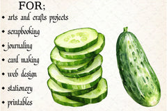 Cucumber Clipart Bundle - CraftNest - Digital Crafting and Art
