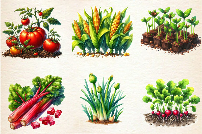 Garden Patch Clipart Bundle - CraftNest - Digital Crafting and Art
