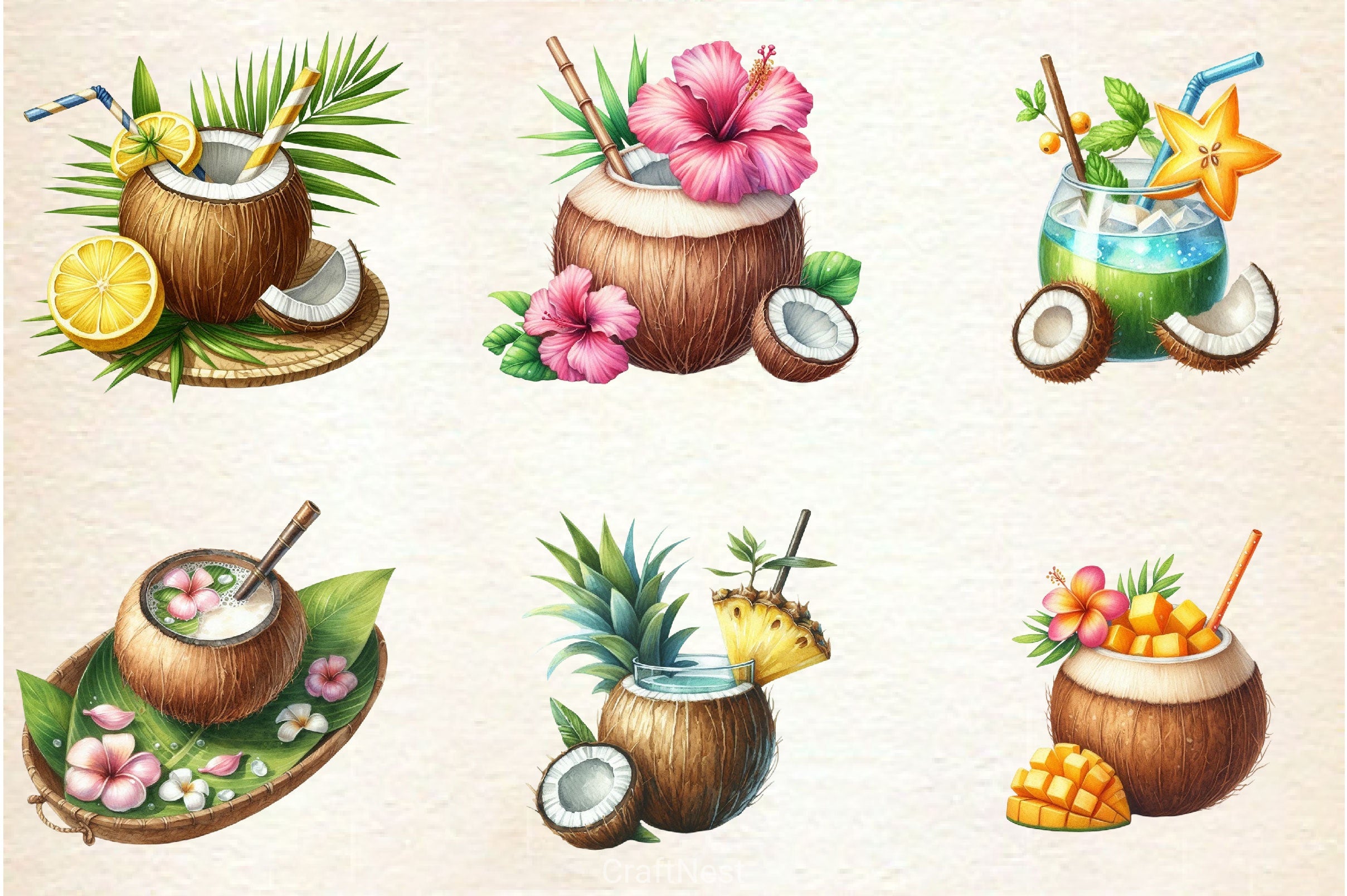 Coconut Drink Clipart Bundle - CraftNest - Digital Crafting and Art