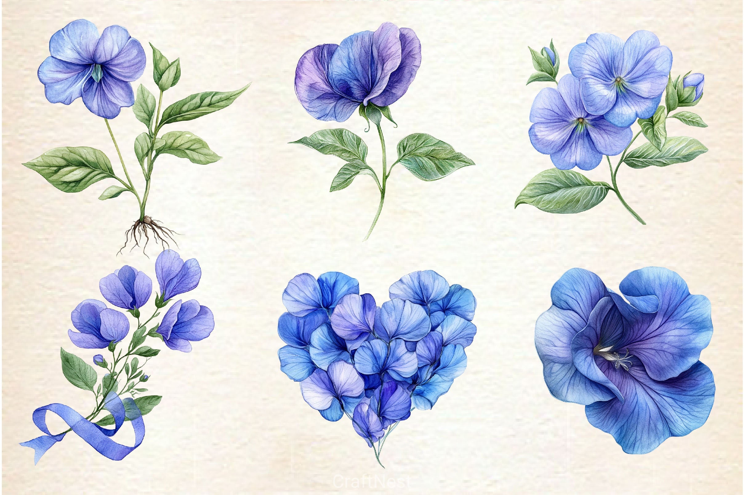Butterfly Pea Flower Clipart Bundle - CraftNest - Digital Crafting and Art