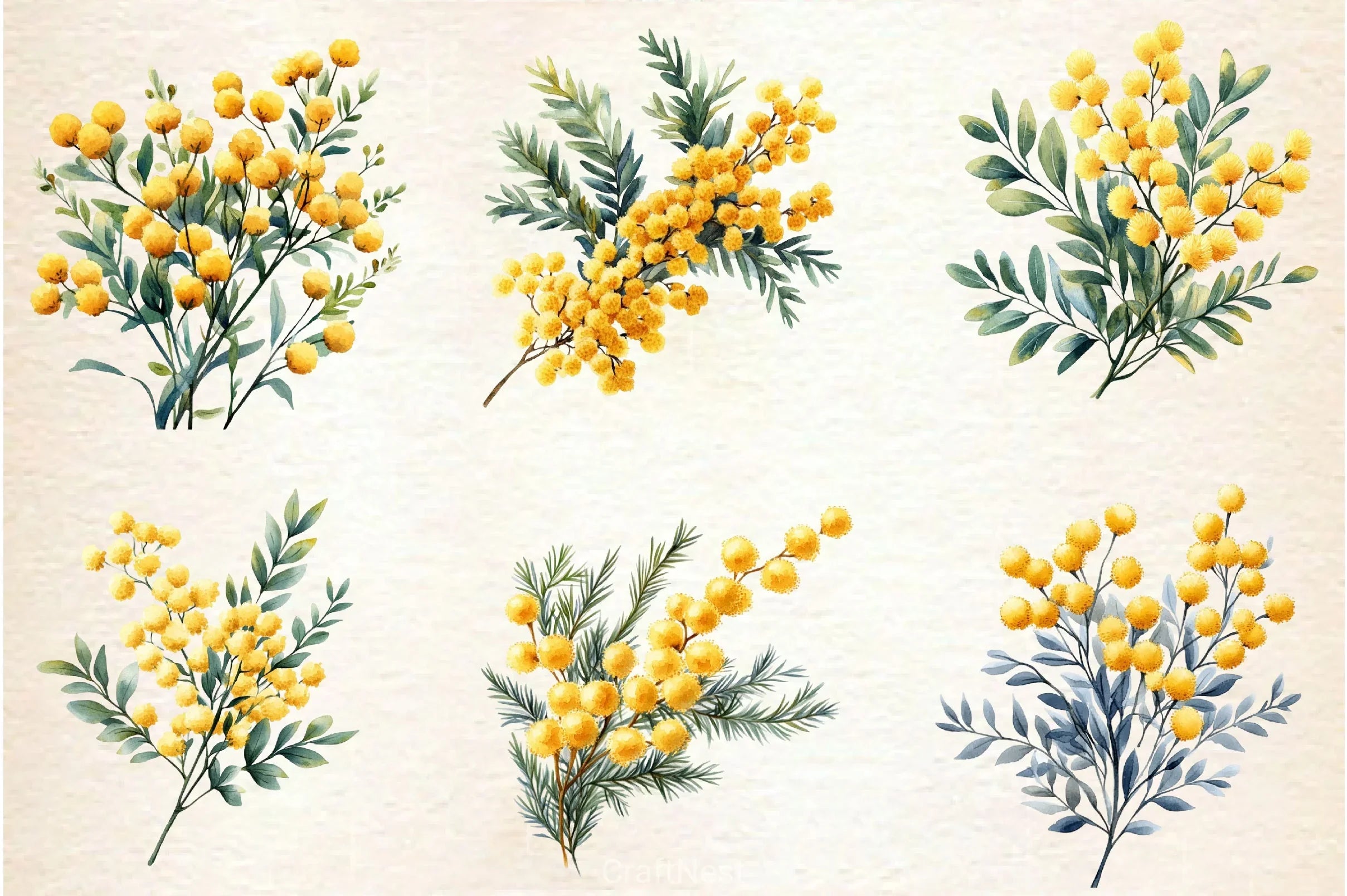 Mimosa Flower Clipart Bundle 2 - CraftNest - Digital Crafting and Art