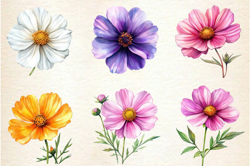 Cosmos Flower Bloom Clipart Bundle 2 - CraftNest - Digital Crafting and Art