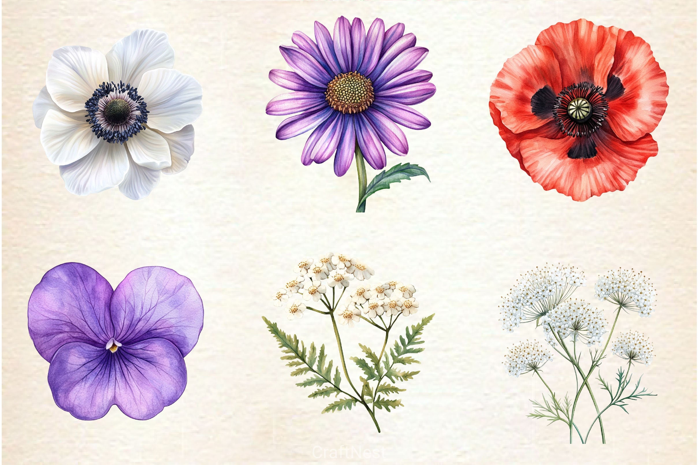 Wildflowers Clipart Bundle 3 - CraftNest - Digital Crafting and Art