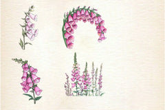 Pink Flowers Foxglove Clipart Bundle - CraftNest - Digital Crafting and Art