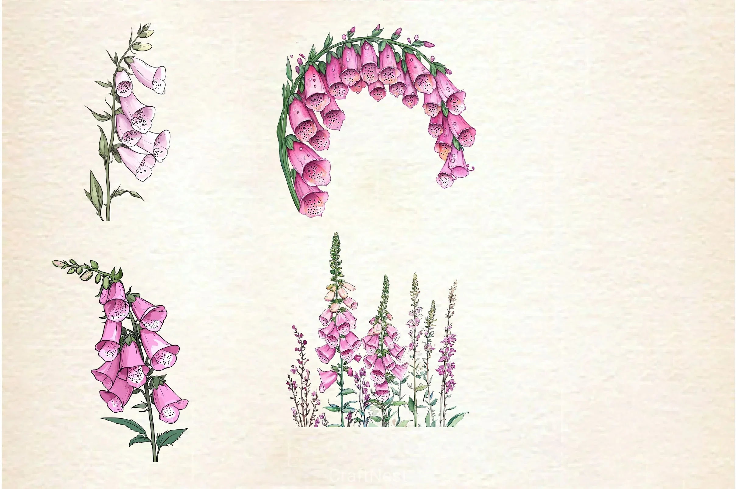 Pink Flowers Foxglove Clipart Bundle - CraftNest - Digital Crafting and Art
