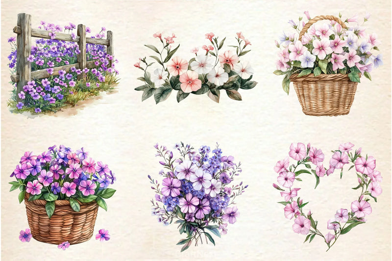 Spring Creeping Phlox Flower Clipart Bundle - CraftNest - Digital Crafting and Art