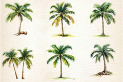 Summer Palm Tree Clipart Bundle 2 - CraftNest - Digital Crafting and Art