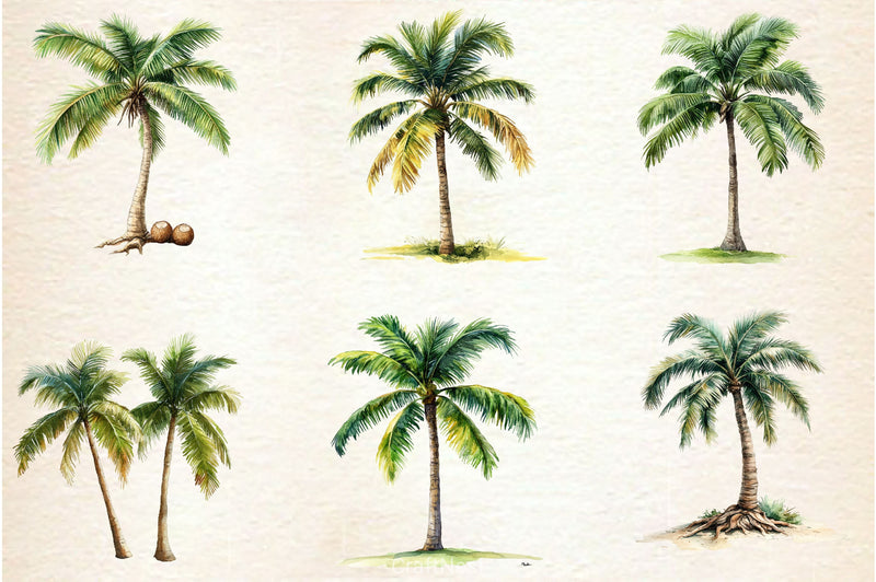 Summer Palm Tree Clipart Bundle 2 - CraftNest - Digital Crafting and Art