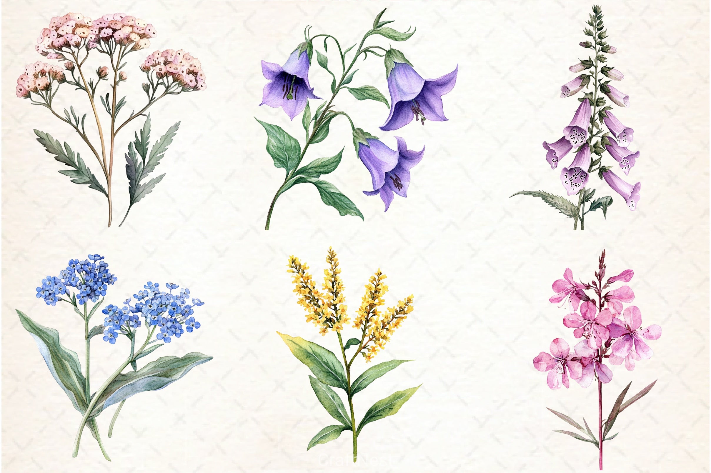 Wild Flower Clipart Bundle - CraftNest - Digital Crafting and Art