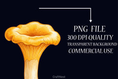 Edible Mushrooms Clipart Bundle - CraftNest - Digital Crafting and Art