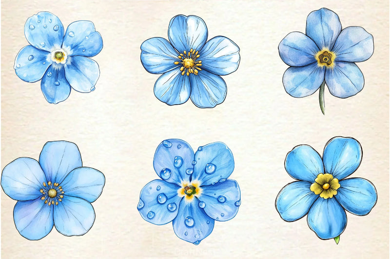 Forget Me Not Flower Bloom Clipart Bundle 2 - CraftNest - Digital Crafting and Art